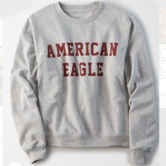 ae fleece crewneck sweatshirt